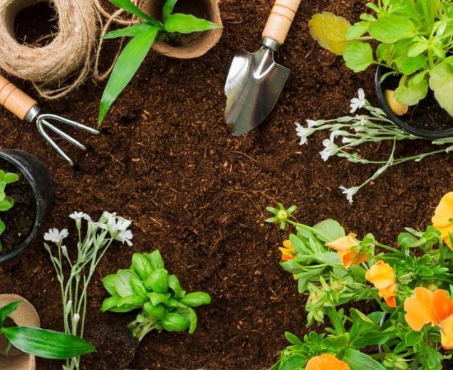 Bookmyhelp Cleaning Service