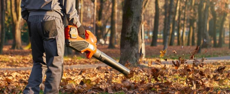 bookmyhelp cleaning service