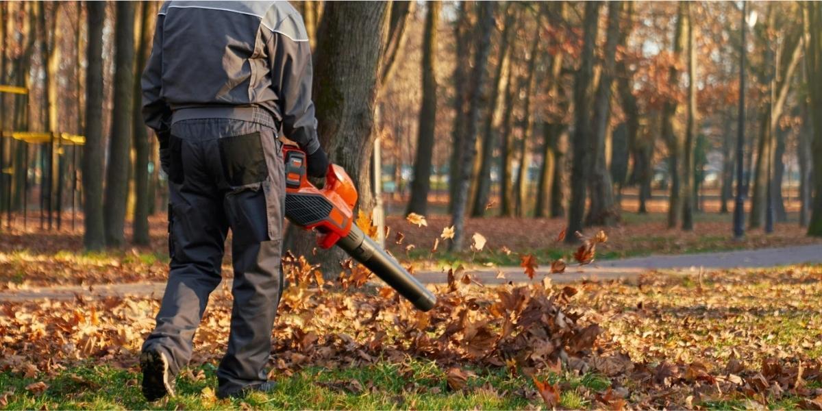 Fall Leaf Cleanup banner