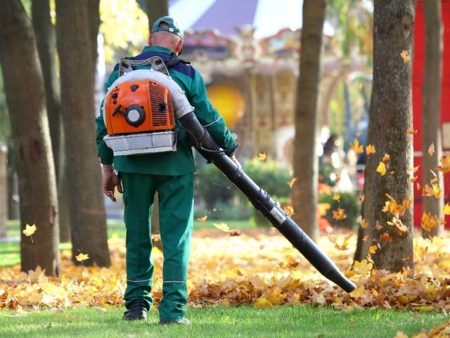 Bookmyhelp Cleaning Service