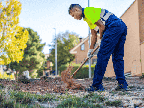 Bookmyhelp Lawn Care Treatment Service